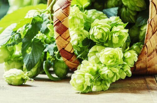 τσάι, ύπνος- φυσικά βοηθήματα για να πέσετε για ύπνο