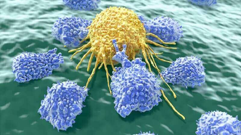 Καρκινικά κύτταρα