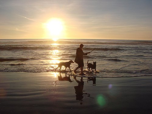 Καταπολέμηση της ψωρίασης γυναίκα στη θάλασσα με δύο σκύλους