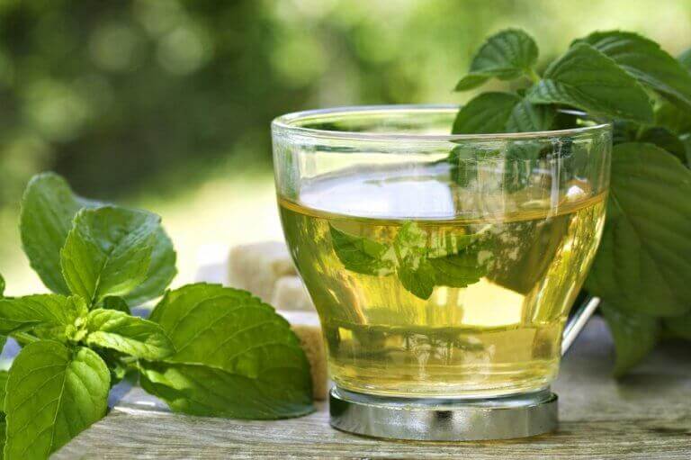 ροφήματα με πράσινο τσάι και μέντα