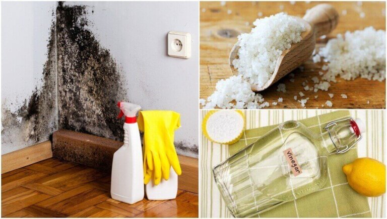 5 τρόποι για να εξαλείψετε την υγρασία στο σπίτι σας