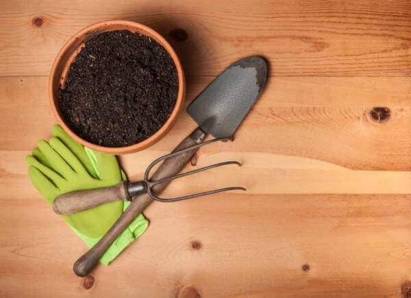 γλάστρα με χώμα και εργαλεία, φυτά που μπορείτε να φροντίσετε εύκολα