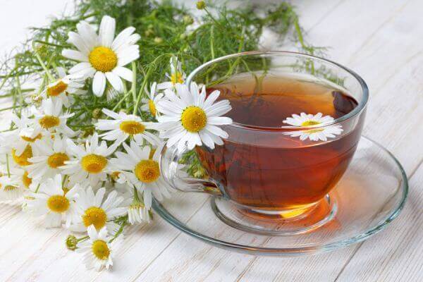 σιρόπια για τον ξερόβηχα χαμομήλι σε τσάι και σε φυτό
