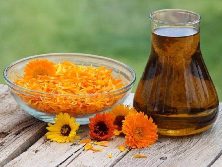 Άνθη καλέντουλας και έγχυμα