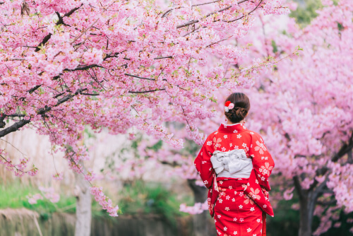 Κατακτήστε την ευτυχία με διδάγματα της ιαπωνικής φιλοσοφίας