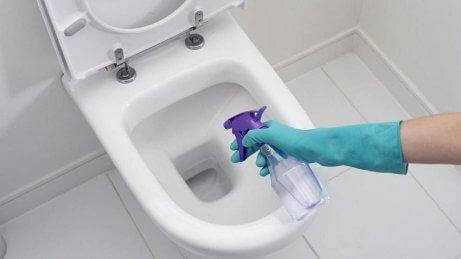 Καθαρίζετε με λευκό ξίδι - Καθαρισμός λεκάνης τουαλέτας
