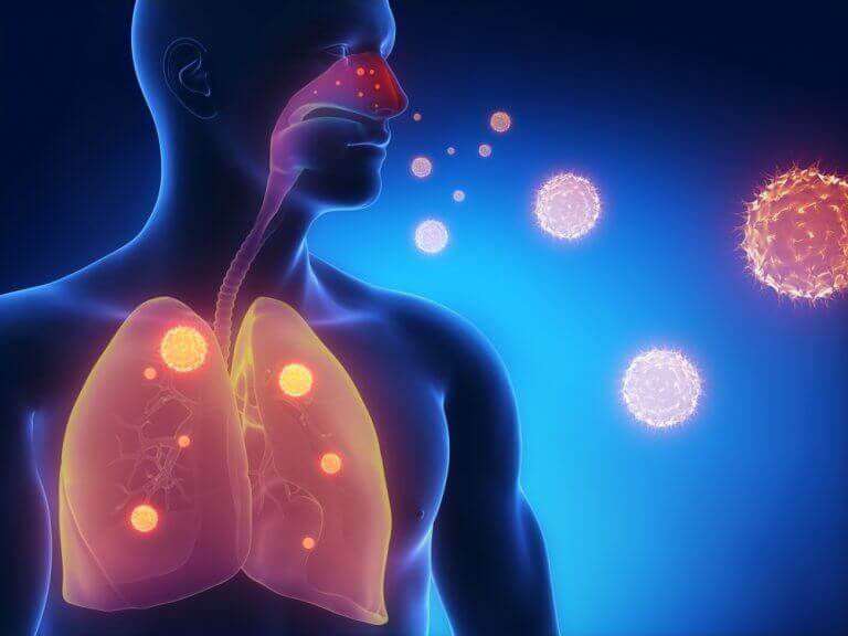  ιδιότητες του θυμαριού που ωφελούν το αναπνευστικό σύστημα
