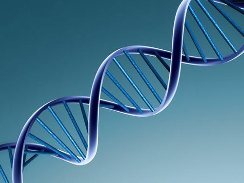 Αλυσίδα DNA