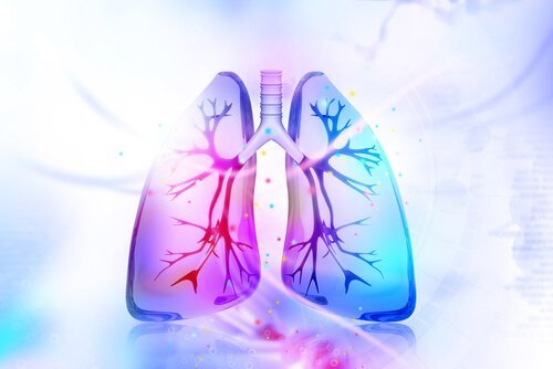 Φυσικές θεραπείες για την αποτοξίνωση των πνευμόνων