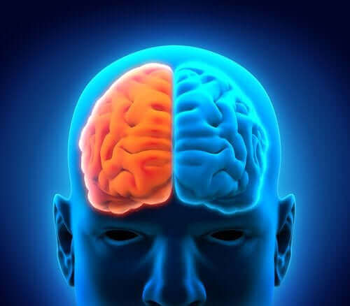 Τα ημισφαίρια του εγκεφάλου