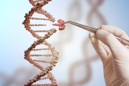 Αφαίρεση γονιδίου από την αλυσίδα DNA