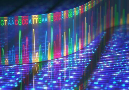 Κώδικας DNA