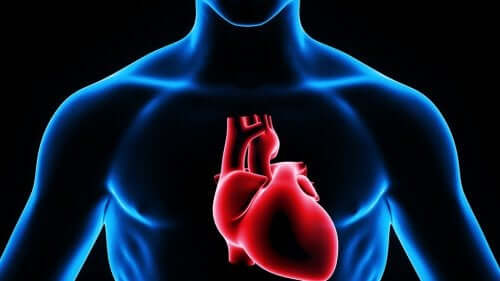 Ψηφιακή απεικόνιση καρδιάς