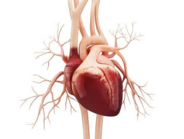 κολπικός πτερυγισμός