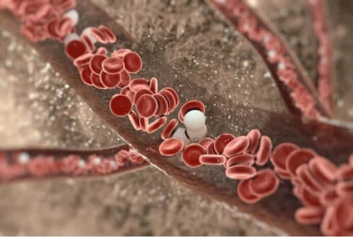 αιμοπετάλια στο αιμα