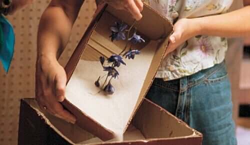 Αποξηραμένα λουλούδια σε κουτί