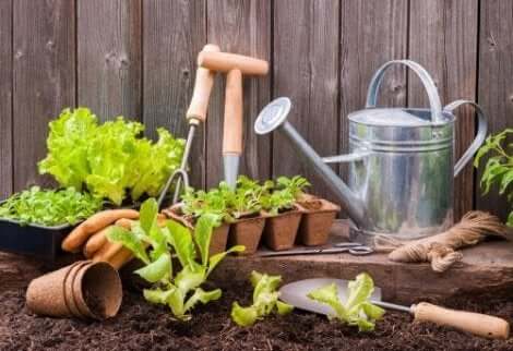 Διάφορα εργαλεία για τον κήπο