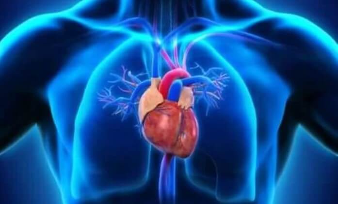 καρδιά σε σώμα