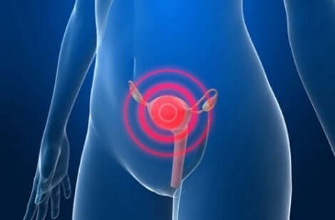 Ψηφιακή απεικόνιση μήτρας