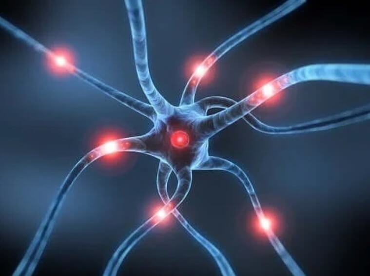 νευρώνες που συνδέονται