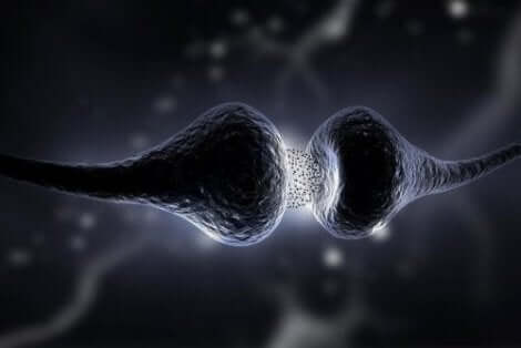 Ψηφιακή απεικόνιση νευρώνων
