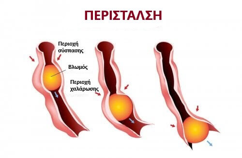 Διάγραμμα περίσταλσης