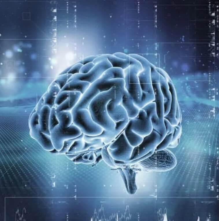 Το σύστημα ανταμοιβής του εγκεφάλου: Πώς λειτουργεί;