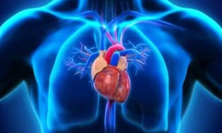 απεικόνιση καρδιάς