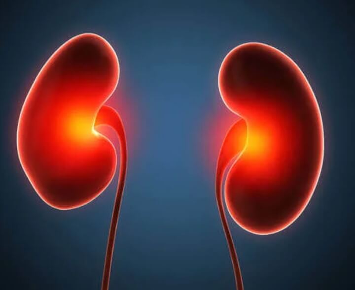 απεικόνιση νεφρών
