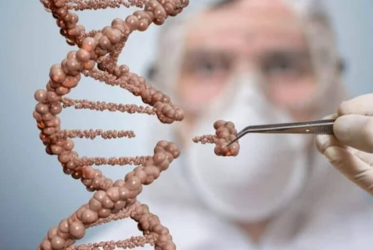 σύνδεση dna
