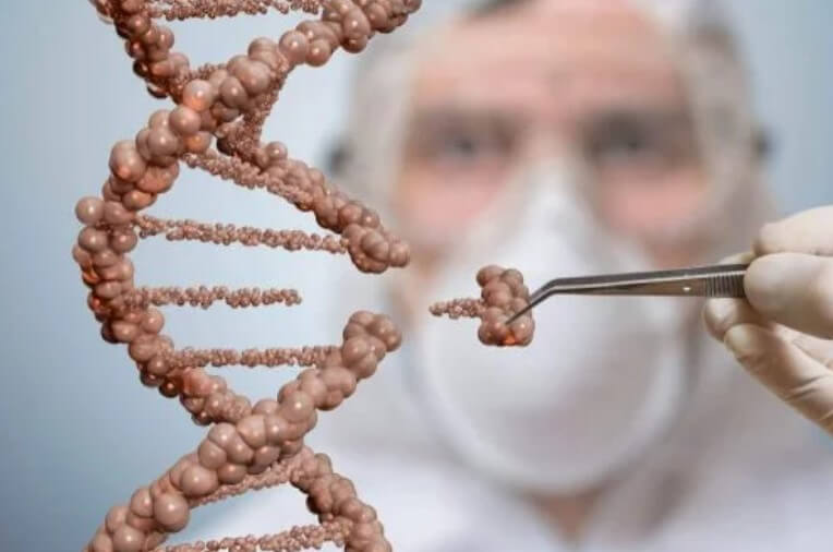 βλαστοκύτταρα σε DNA