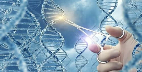 Απεικόνιση ανθρώπινου DNA