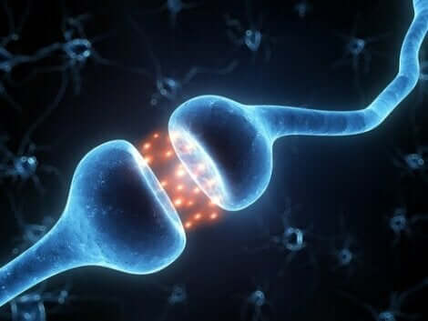Απεικόνιση νευρώνων που συνδέονται