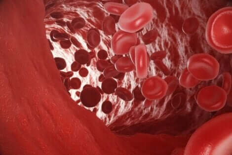 Ερυθρά αιμοσφαίρια