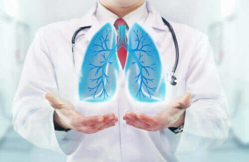 Γιατρός κρατά εικονικούς πνεύμονες