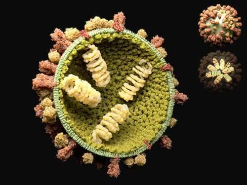 Κύκλος αναπαραγωγής των ιών: Τι είναι