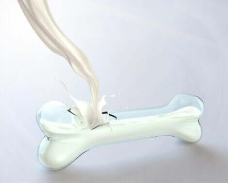 Απεικόνιση γάλατος σε οστό