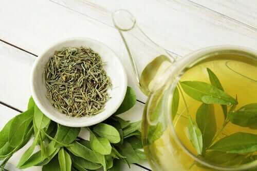 Γνωρίζατε ότι το πράσινο τσάι αυξάνει τη μακροζωία;