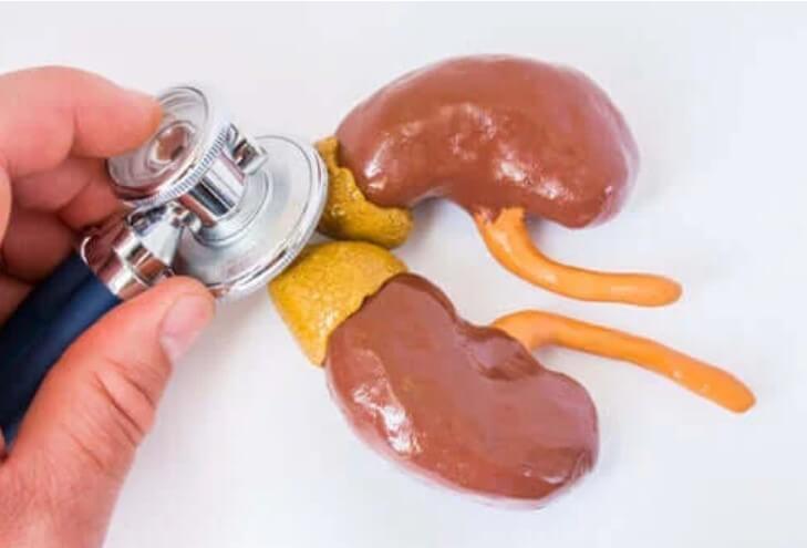 εξέταση νεφρών