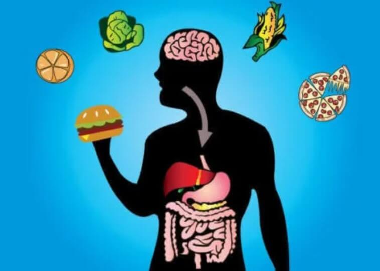 μεταβολισμος και junk food