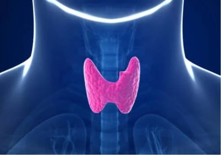 απεικόνιση θυρεοειδή