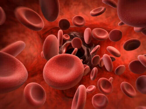 Απεικόνιση ερυθρών αιμοσφαιρίων