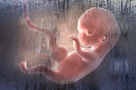 Απεικόνιση εμβρύου