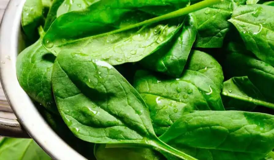 φύλλα σπανάκι