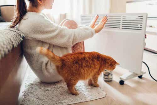 Γυναίκα και γάτα μπροστά από ηλεκτρικό σύστημα θέρμανσης