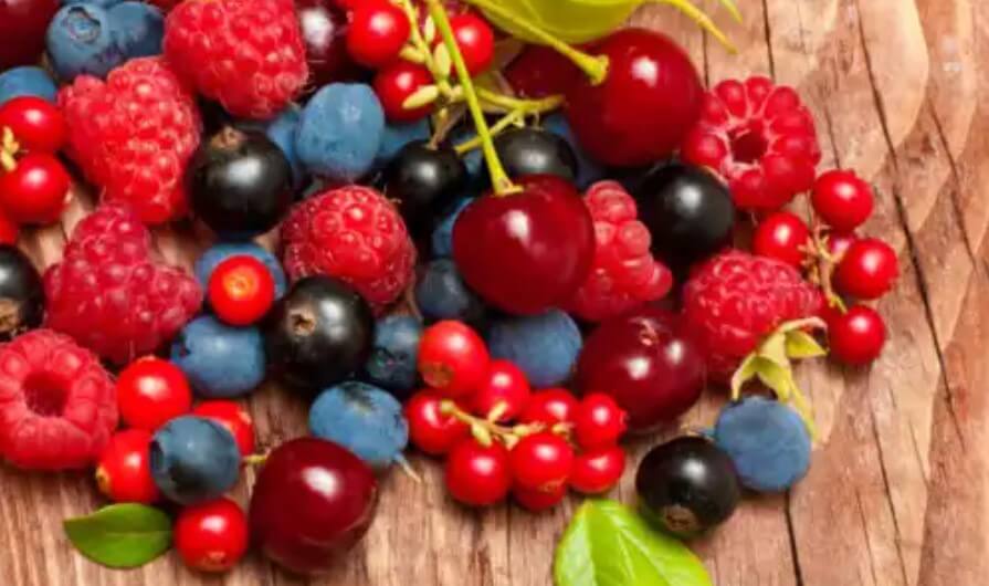 διάφορα μούρα