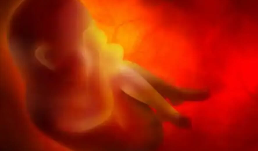 έμβρυο σε μήτρα