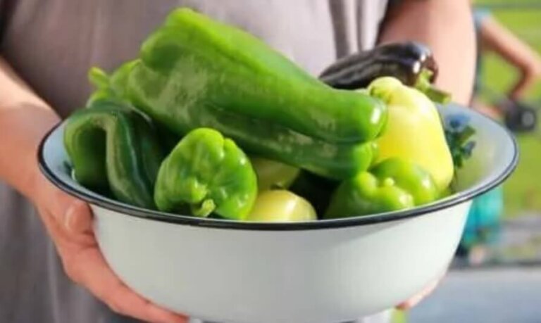 Πώς να φυτέψετε πιπεριές στο σπίτι σας