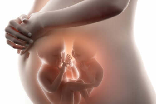Superfetation: Το φαινόμενο της διπλής εγκυμοσύνης