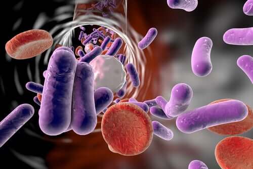 Βακτηριαιμία: Τι είναι και πότε κινδυνεύετε από αυτήν